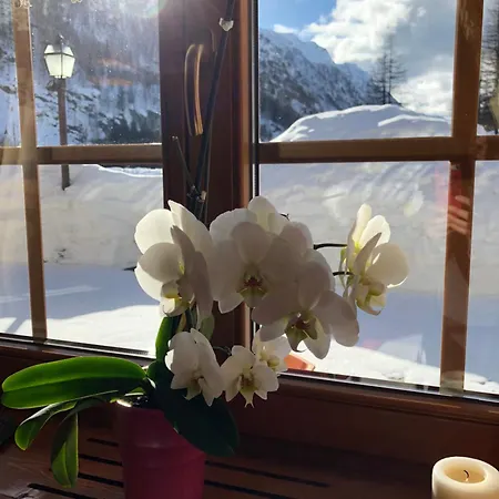 Oberteil Lejlighedshotel Gressoney-la-Trinité